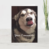 Funny Happy Birthday Alaskan Malamute Dog Karte (Vorderseite)