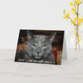 Funny Happy Birthday Card mit grauer Katze Karte (Gelbe Blume)