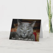 Funny Happy Birthday Card mit grauer Katze Karte (Vorderseite)