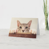 Funny Happy Birthday Cat Face Überraschung Karte (Vorderseite)