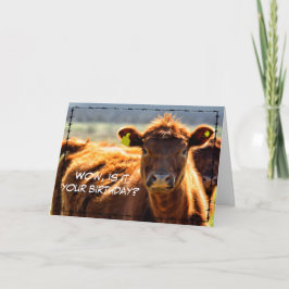 Funny Happy Birthday Country Farm Mail Farm Tales  Karte