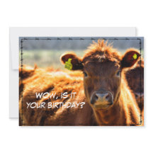 Funny Happy Birthday Country Mail Tales aus dem Ba