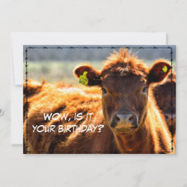 Funny Happy Birthday Country Mail Tales aus dem Ba Feiertagskarte