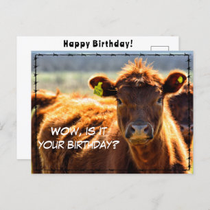 Funny Happy Birthday Country Mail Tales aus dem Ba Postkarte