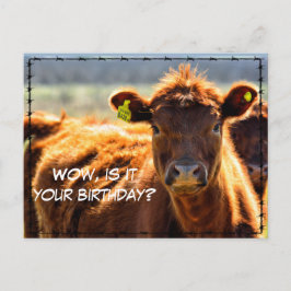 Funny Happy Birthday Country Mail Tales aus dem Ba Postkarte