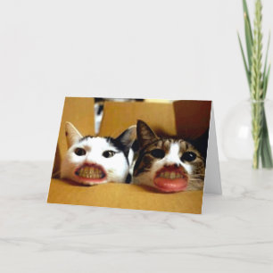 Funny Happy Birthday Karte