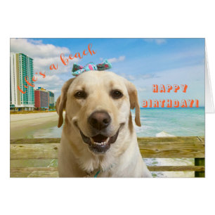 Funny Happy Birthday Labrador Hund am Strand