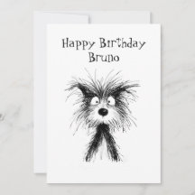 Funny Happy Birthday to Pets From Animal Lover
