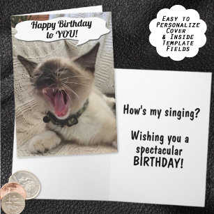 Funny Happy Geburtstag Siamese Kitten Fotografie Karte