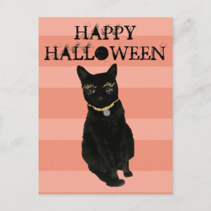 Funny Happy Halloween Black Cat Orange Streifen Postkarte