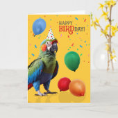 Funny Harlequin Macaw Parrot Birthday Karte (Gelbe Blume)