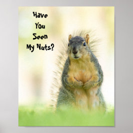 Funny hast du mein Nackenquirrel-Poster gesehen? Poster