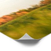 Funny Heifer herausragend auf meinem Feld Poster (Ecke)