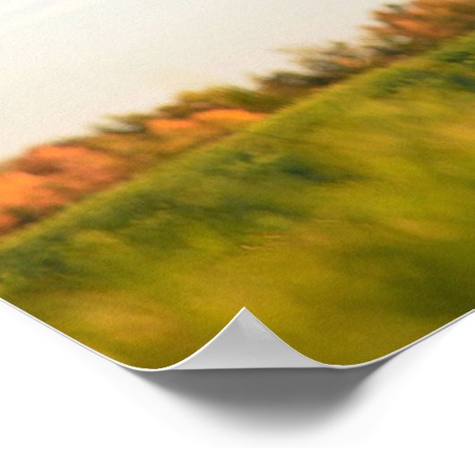 Funny Heifer herausragend auf meinem Feld Poster (Ecke)