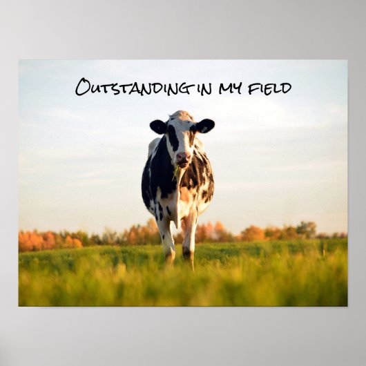 Funny Heifer herausragend auf meinem Feld Poster (Vorne)