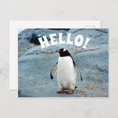 Funny Hello mit Pinguin Foto Postkarte (Vorne/Hinten)