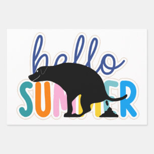 Funny "Hello Summer" Kackend Labrador Wrapping Pap Geschenkpapier Set