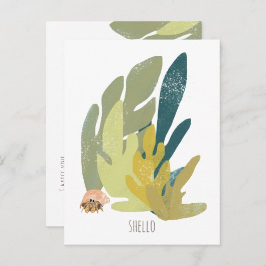 Funny Hermit Crab Hello Postkarte (Vorne/Hinten)