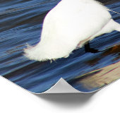 Funny Heron Poster (Ecke)