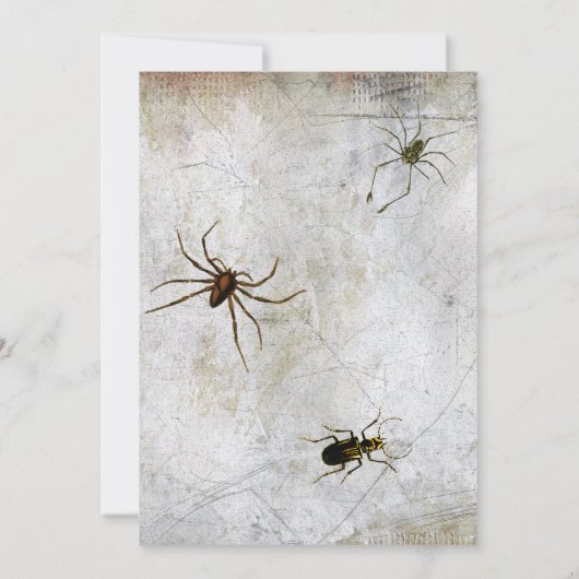 Funny Hexen Beine Wicked Halloween-Party Einladung (Rückseite)