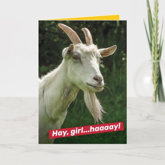 Funny Hey Girl, hey Ryan Gosling Goat Spoof Karte (Vorderseite)