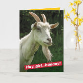 Funny Hey Girl, hey Ryan Gosling Goat Spoof Karte (Gelbe Blume)