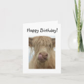 Funny Highland Cow Birthday Karte (Vorderseite)