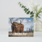 Funny Highland Kuh Foto Bad Hair Day? Typografie Postkarte (Stehend Vorderseite)