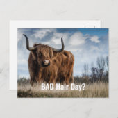 Funny Highland Kuh Foto Bad Hair Day? Typografie Postkarte (Vorne/Hinten)