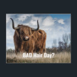 Funny Highland Kuh Foto Bad Hair Day? Typografie Postkarte<br><div class="desc">Bad Hair Day? Zitat mit lustigen Tierfotos fängt eine Hochlandkuh gegenüber der Kamera mit Haaren,  die sein Gesicht und seine Augen bedecken. Der Ausdruck des Tieres ist nicht glücklich. Text ist weiß.</div>