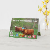Funny Highland Steer wird gut Karte (Gelbe Blume)