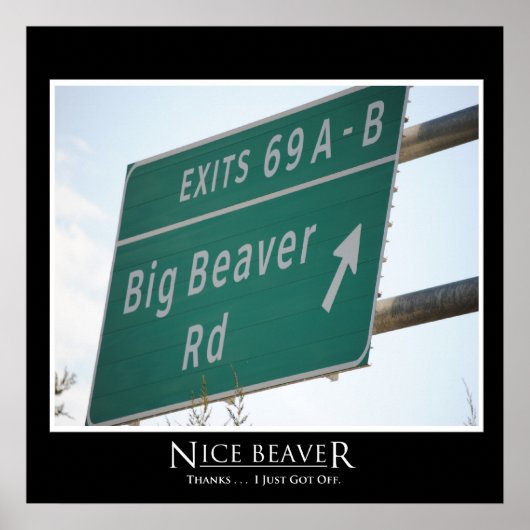 Funny Highway Sign, Big Beaver Road Ausfahrt 69 Poster (Vorne)
