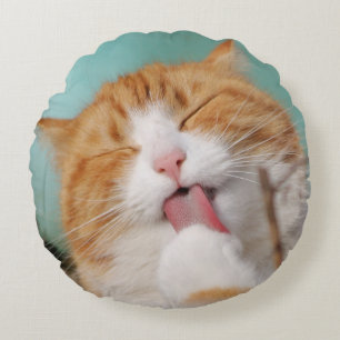 Funny hilarious silly cat rundes kissen