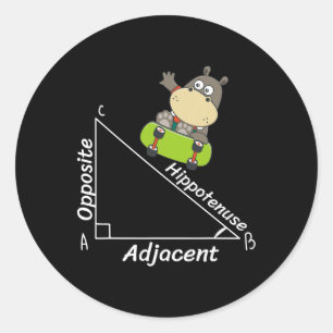 Funny Hipo Skater Geometry Hypotenuse Math Boy Gir Runder Aufkleber