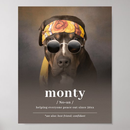 Funny Hippie Dog Portrait - Fügen Sie Ihrem Hund d Poster (Vorne)