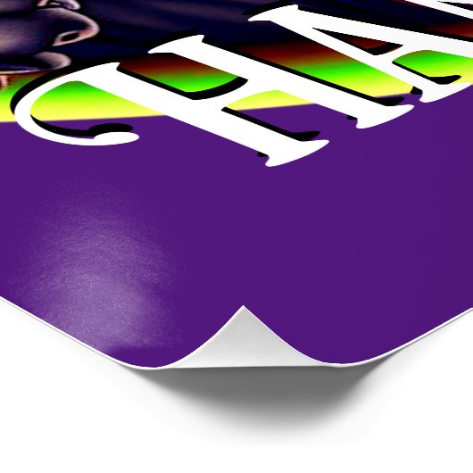 Funny Hippie Sphynx Cat Poster (Ecke)