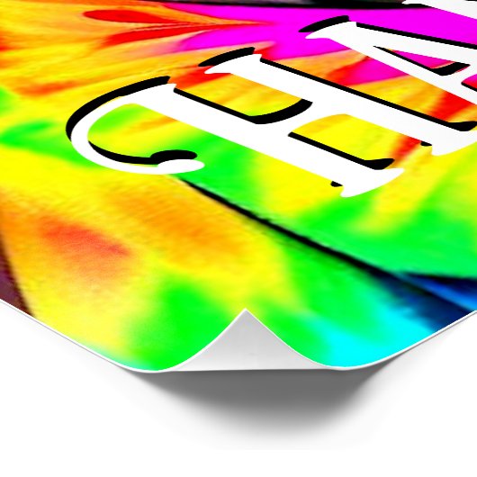 Funny Hippie Sphynx Cat Poster (Ecke)