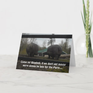 Funny Hippopotamus Geburtstag Gruß Karte