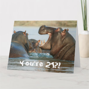 Funny Hippopotamus Hippo Happy 21. Geburtstag Karte