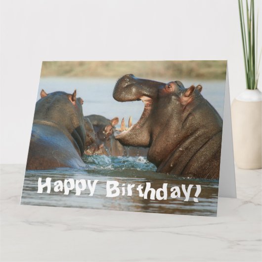 Funny Hippopotamus Hippo Happy Birthday Karte (Vorderseite)