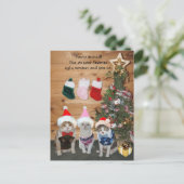 Funny Holiday Cats in Ugly Sweaters Einladungspostkarte (Stehend Vorderseite)