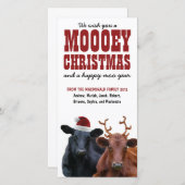 Funny Holiday Cow Couple Mooey Weihnachten (Vorne/Hinten)