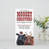Funny Holiday Cow Couple Mooey Weihnachten (Stehend Vorderseite)