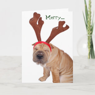 Funny Holiday Grüße vom Hund Feiertagskarte