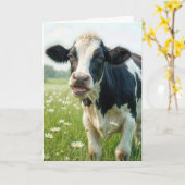 Funny Holstein Kuh zum Geburtstag Karte (Gelbe Blume)