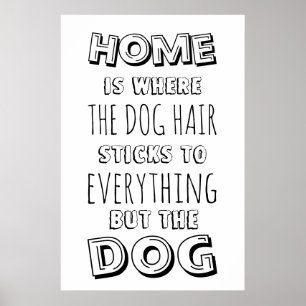 Funny  Home and Dog Hair Quote Poster