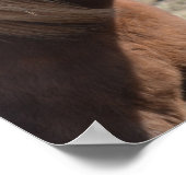 Funny Horaking Ein Albernes Gesicht Poster (Ecke)