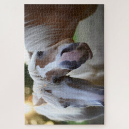 Funny Horends Friends Puzzle