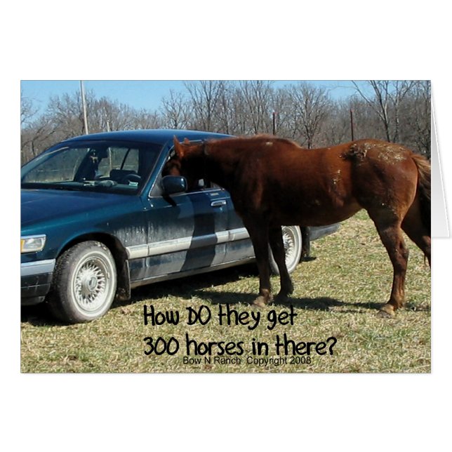 Funny Horse "300 Horse" (Vorderseite (Horizontal))