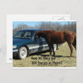Funny Horse "300 Horse" Postkarte (Vorne/Hinten)